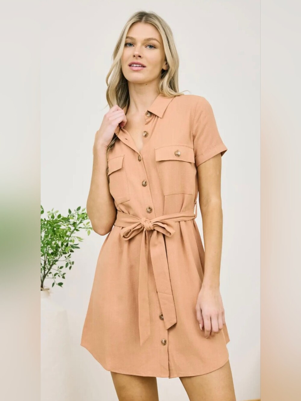 Sienna Collared Button Down Belted Mini Medium Dress